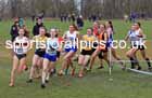 Womens Under-20s 2023 UK CAU Inter Counties Cross Country Champs, Prestwold Hall, Loughborough. Photo: David T. Hewitson/Sports for All Pics